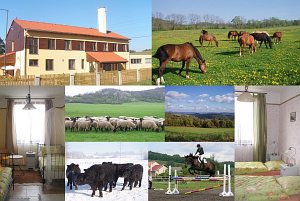 Gospodarstwo agroturystyczne Natural Agro [Powiększ - nowe okno]