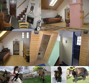 Gospodarstwo agroturystyczne Pod zelenou Krziwinou [Powiększ - nowe okno]