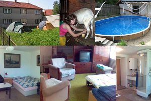 Gospodarstwo agroturystyczne Hvozd - owce i kozy [Powiększ - nowe okno]