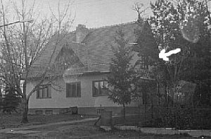 Klubovna Brontosaurus [Powiększ - nowe okno]