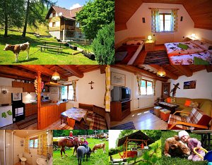 Domek letniskowy Świerk [Powiększ - nowe okno]