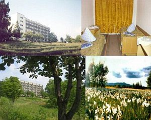 Turbaza Narcis - schronisko turystyczne [Powiększ - nowe okno]