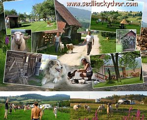 Agro kemping Sedliacky dvor [Powiększ - nowe okno]