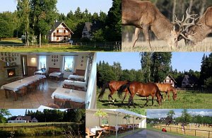 Gospodarstwo agroturystyczne Farma Hory [Powiększ - nowe okno]