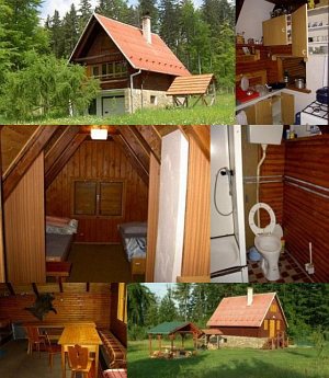 Domek myśliwski Poniklec [Powiększ - nowe okno]