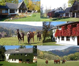 Ranczo M [Powiększ - nowe okno]