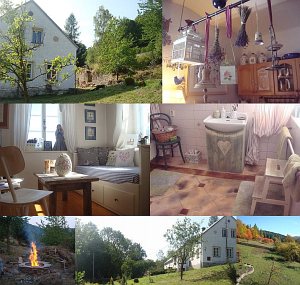 Domek myśliwski w lesie [Powiększ - nowe okno]