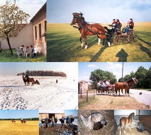 Agroturystyka Trnka - kemping i mini pensjonat [Powiększ - nowe okno]