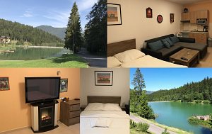 Studio 1+kk Fatrapark 2 [Powiększ - nowe okno]