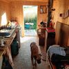 Przyczepa kempingowa Szyszka, Vyškovec - Vlčí [Powiększ - nowe okno]